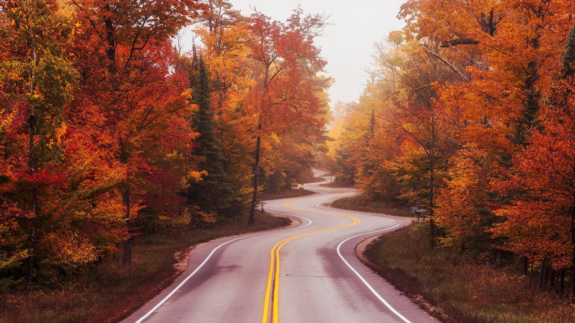 Gills Rock, Door County winding road